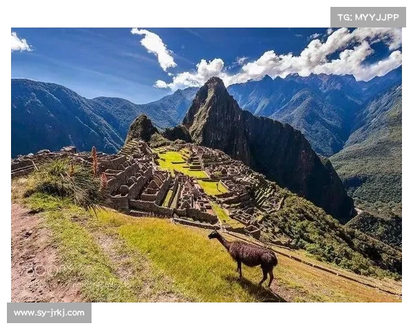 鹤观岛探秘之旅奇妙风光与神秘文化等待你的探索与发现 鹤观岛探秘之旅奇妙风光与神秘文化等待你的探索与发现